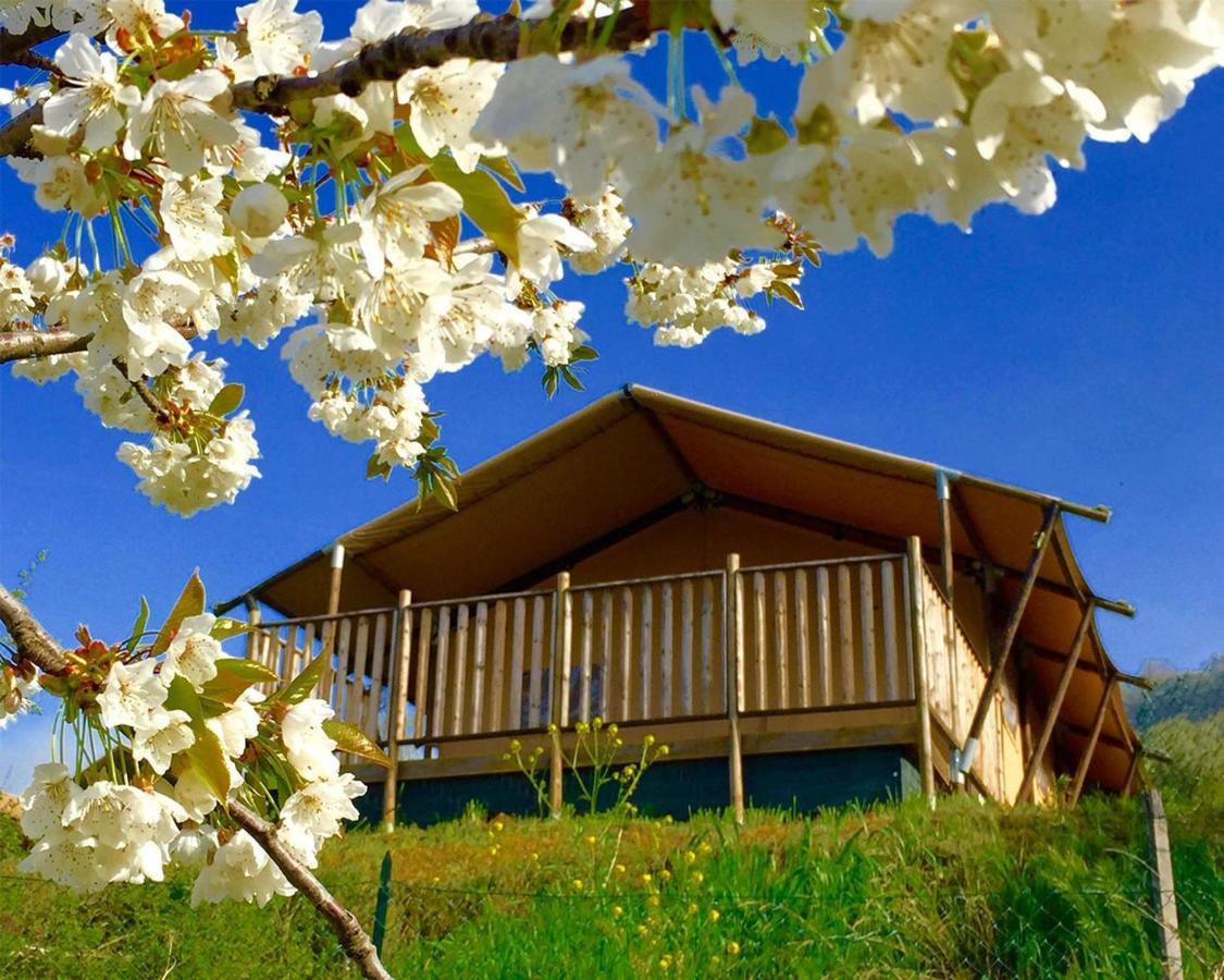 Villaladiva Boutique Glamping 马西尼亚诺 外观 照片
